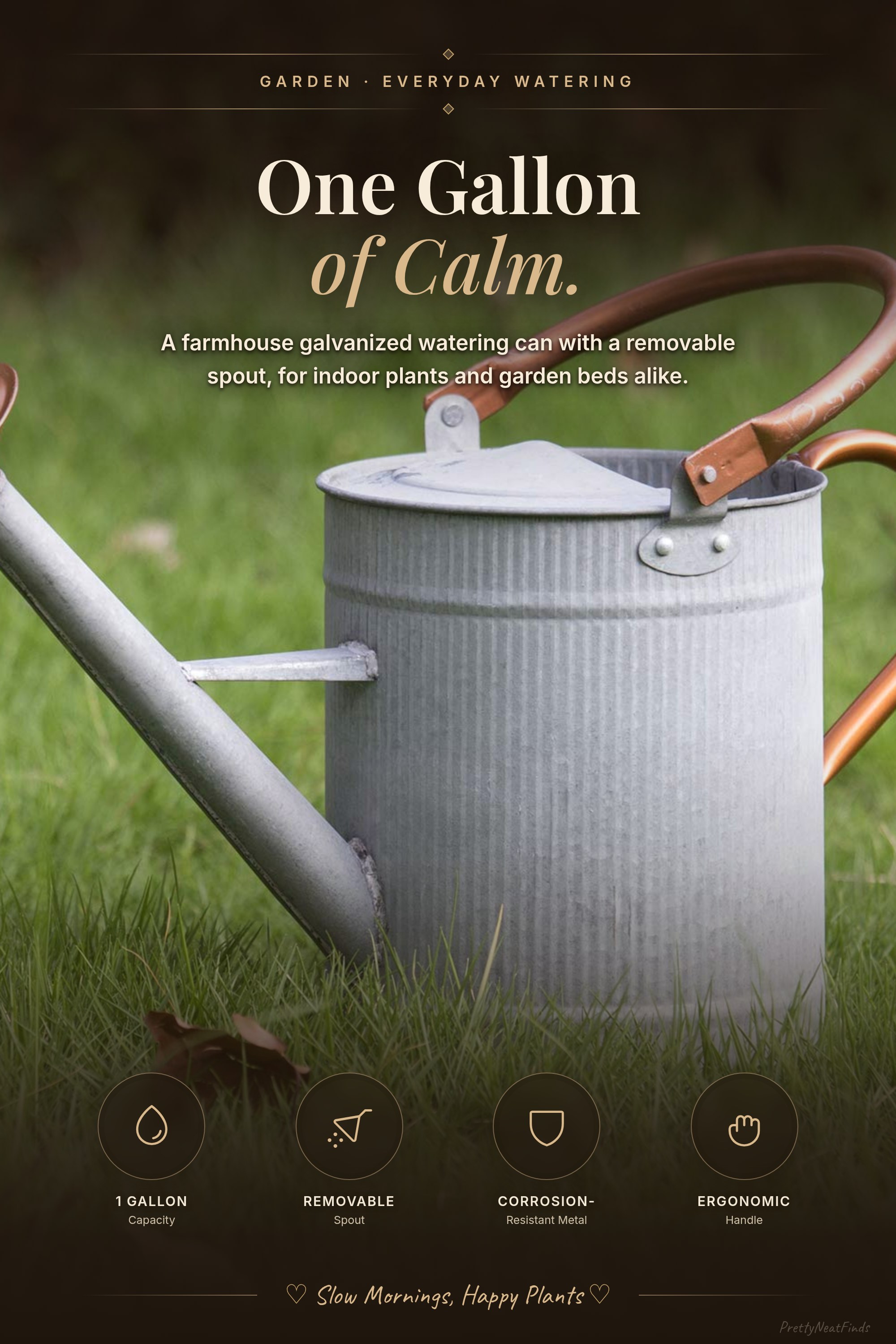 1 Gallon Galvanized Metal Watering Can with Removable Spout