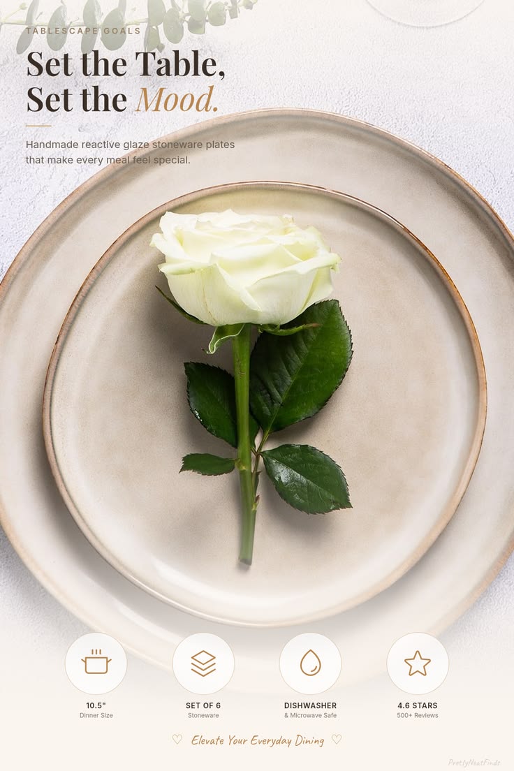 Ceramic Dinner Plates (Set of 6)