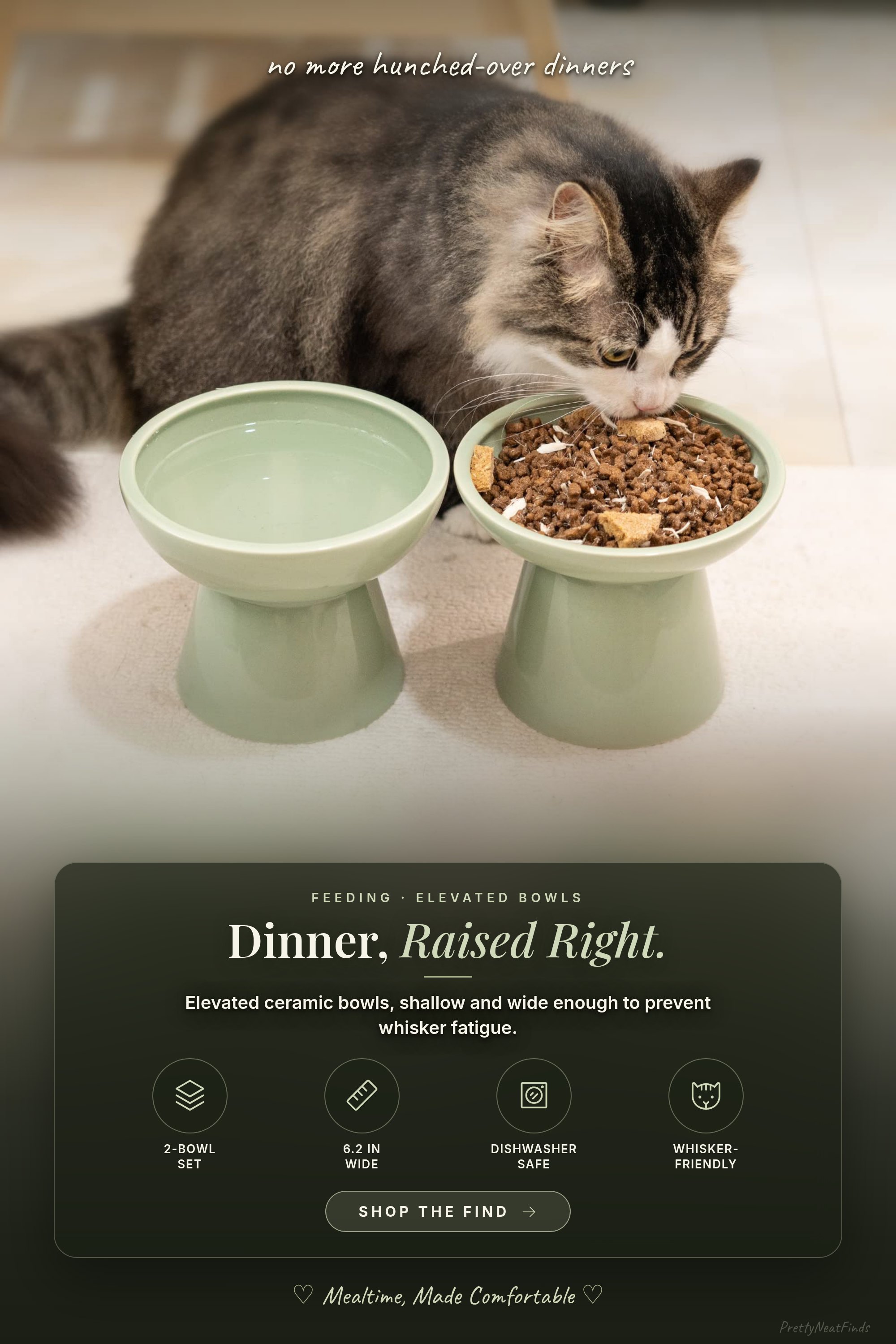 CEEFU Elevated Ceramic Cat Bowls, Extra Wide, Set of 2