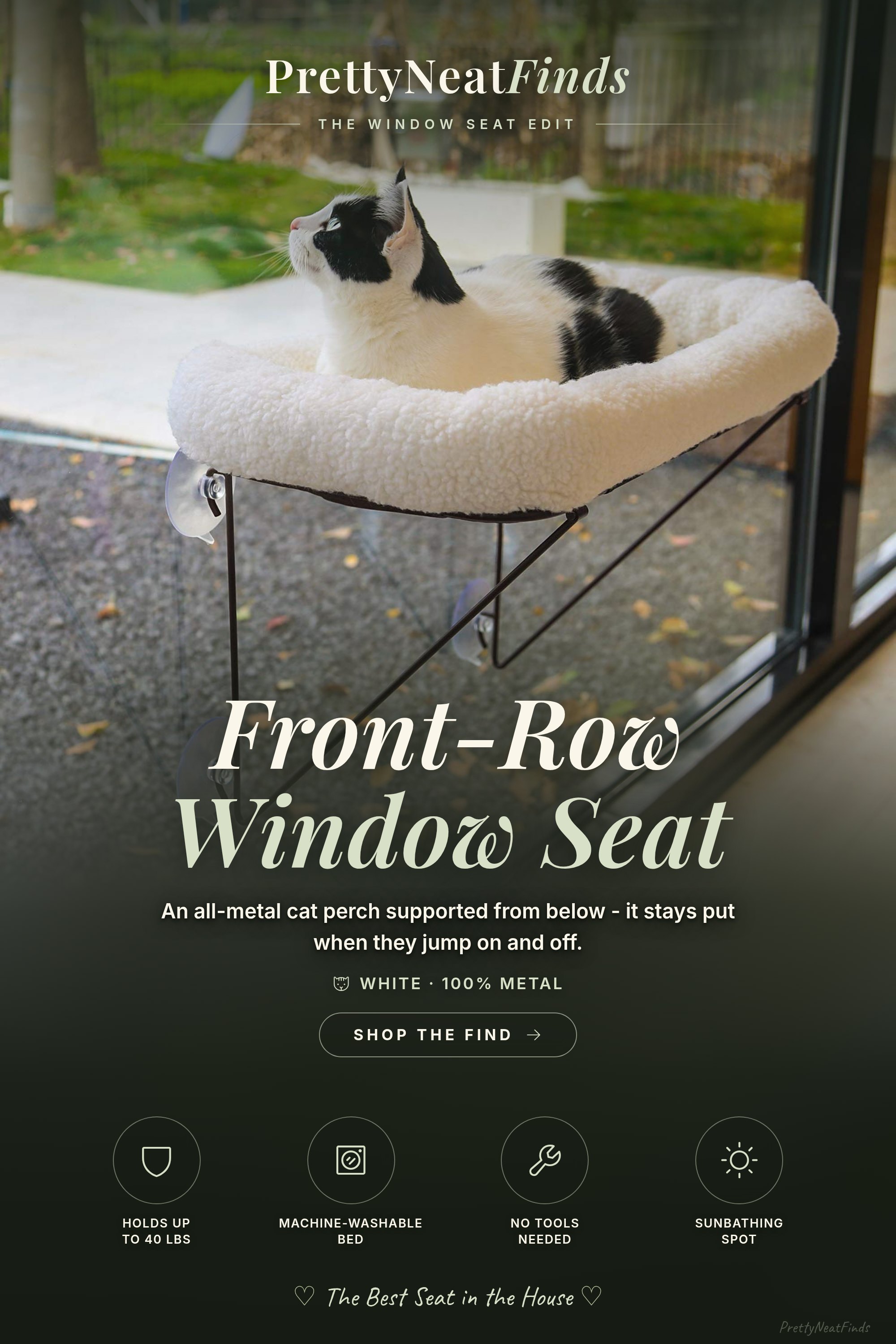 Cozy Pet Nooks and Treat Jars: 6 Finds for the Pets in the House