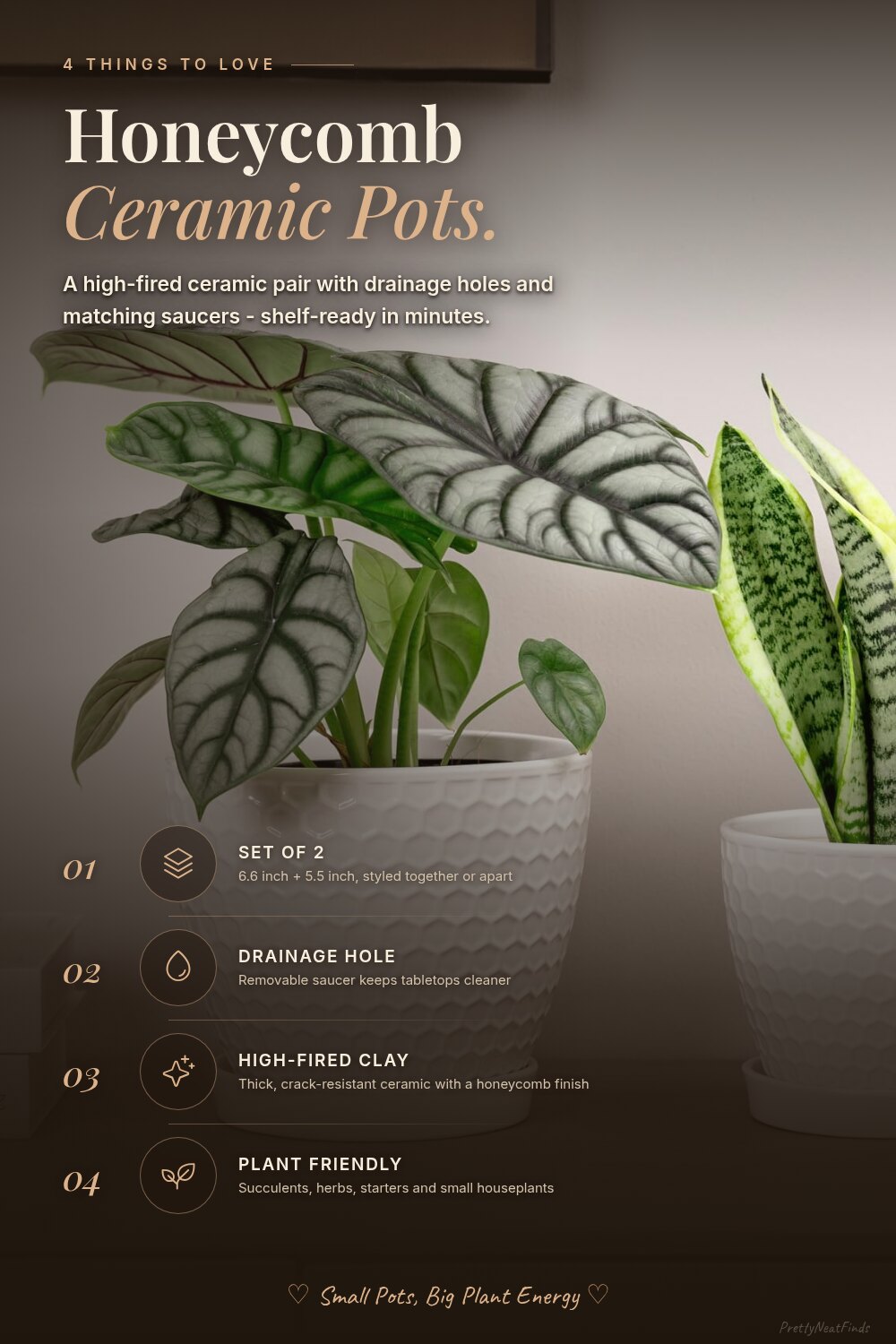 Docrin Honeycomb Ceramic Plant Pots with Drainage & Saucers, Set of 2