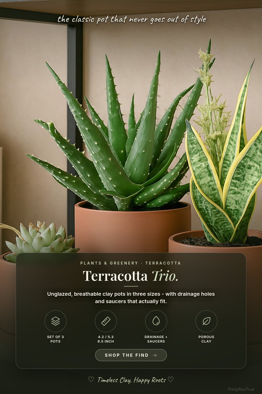 D'vine Dev Terracotta Plant Pots with Saucers, 3 Pack (4.2/5.3/6.5 in)