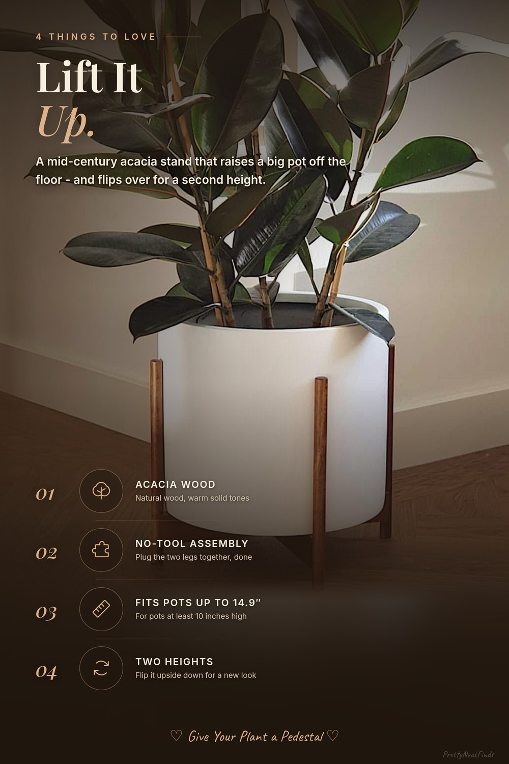 The Plant Parent Starter Kit: 7 Quiet Upgrades for the Plants You Already Own