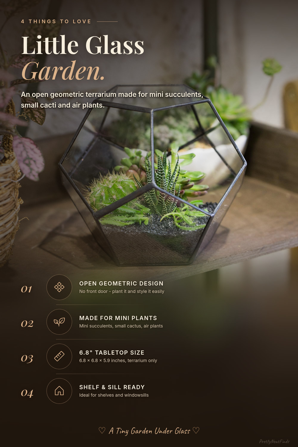 NCYP Open Geometric Glass Terrarium, No Door, Black
