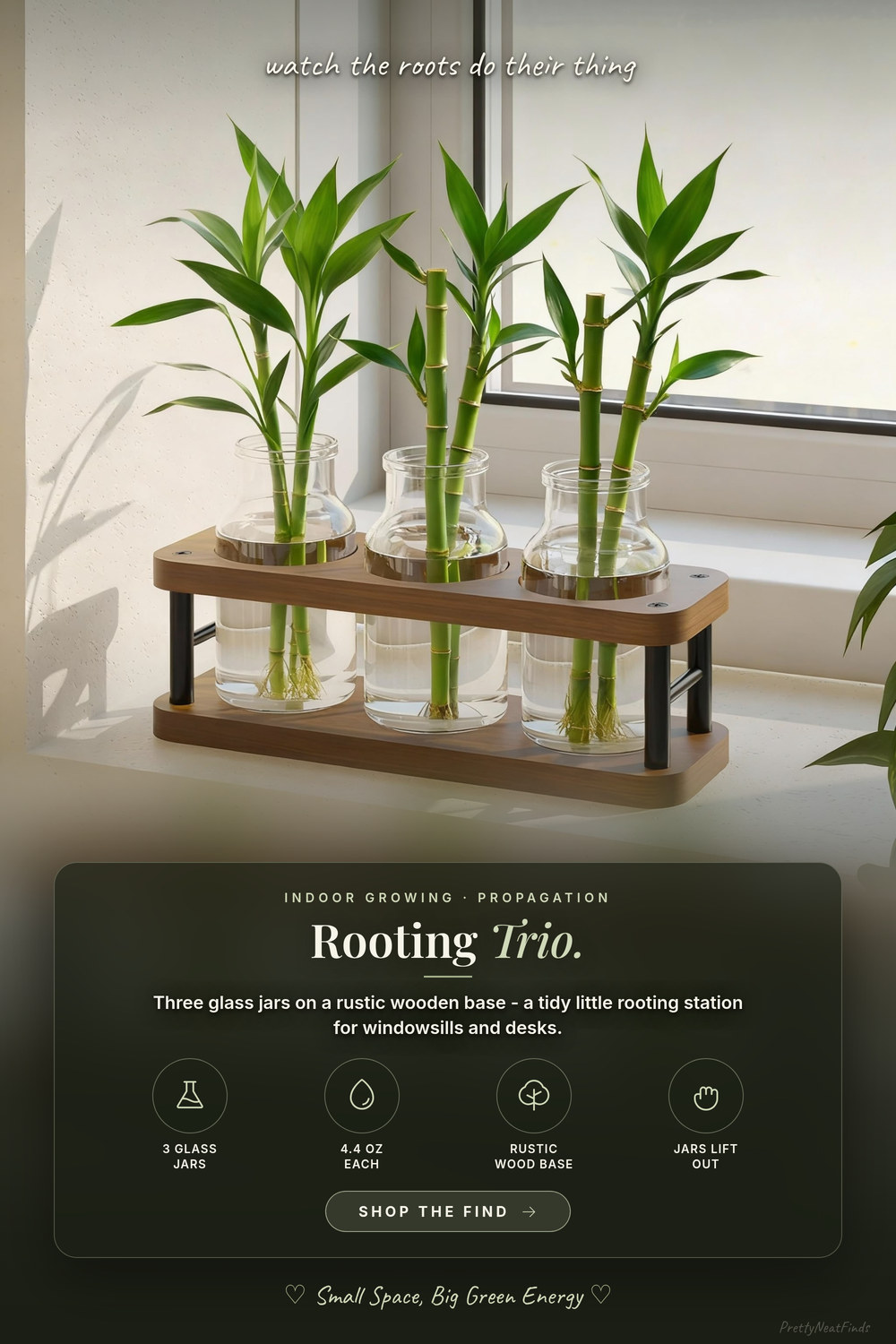 THYGIFTREE Propagation Station, 3 Glass Jars on a Wooden Stand