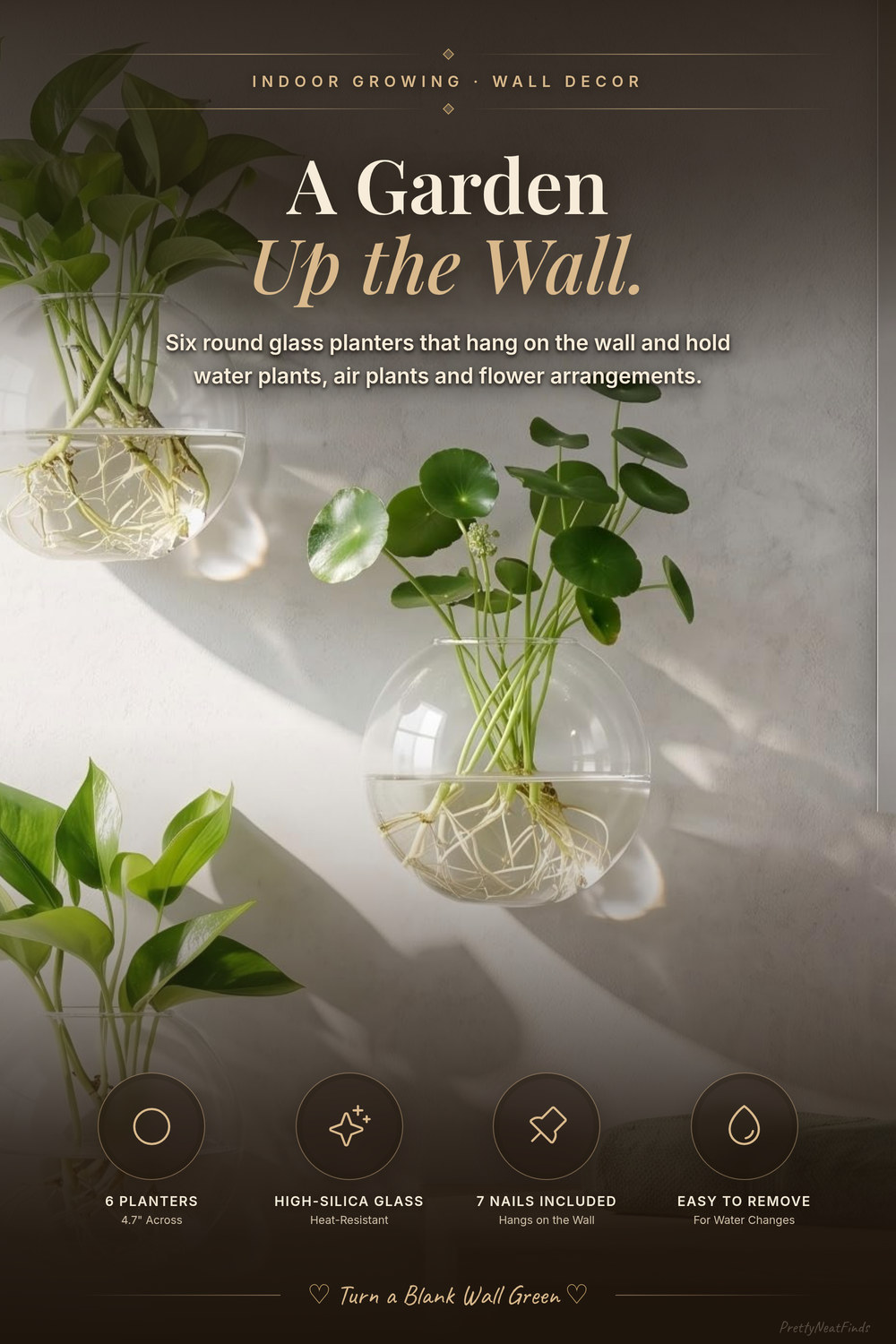 Round Wall Glass Planter Vases, 6 Pack with Nails