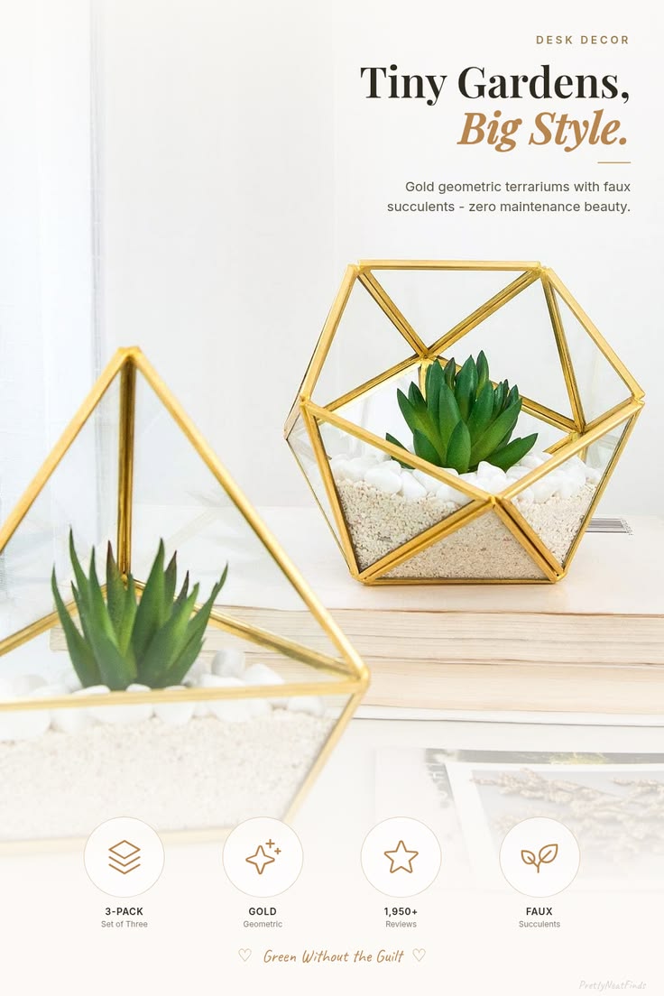 Geometric Glass Terrarium (3-Pack, Gold)