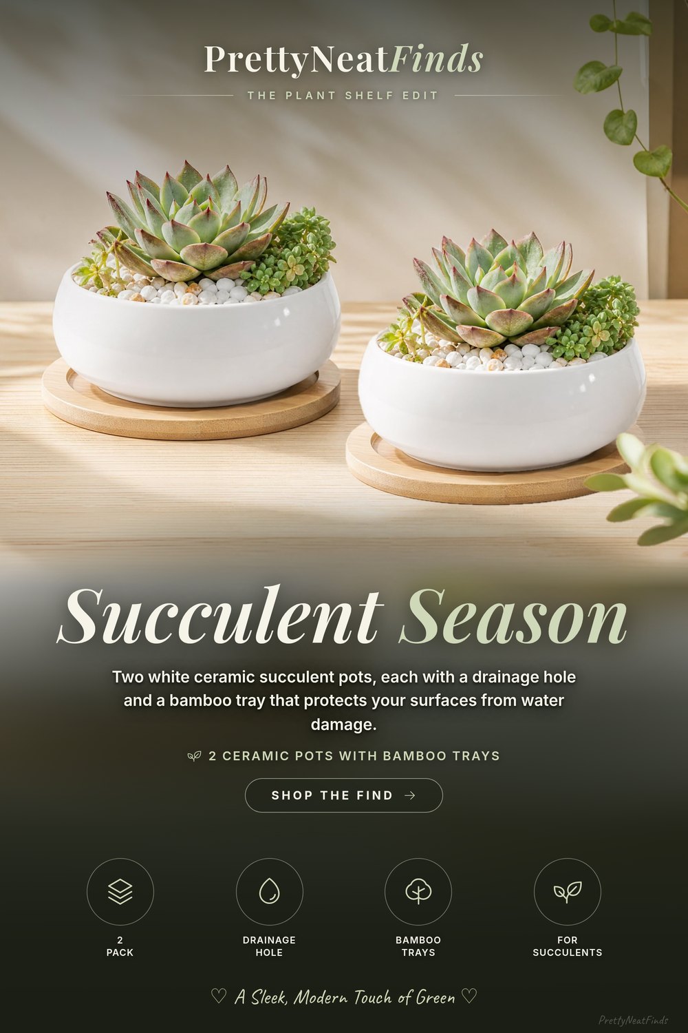 ZOUTOG Succulent Pots with Bamboo Trays, 2 Pack, White